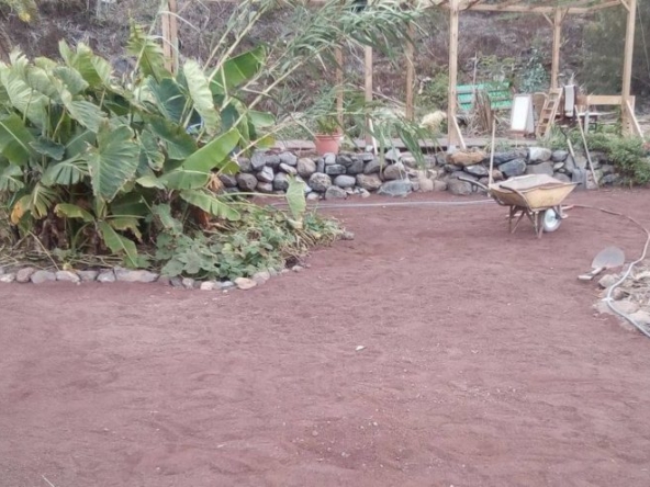 Surf-Camp-of-Tenerife