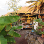 Surf-Camp-of-Tenerife