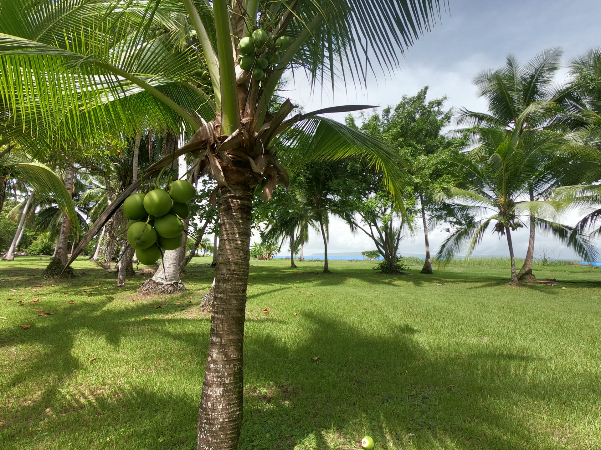 casa-envase-zancudo-view-from-deck-scaled