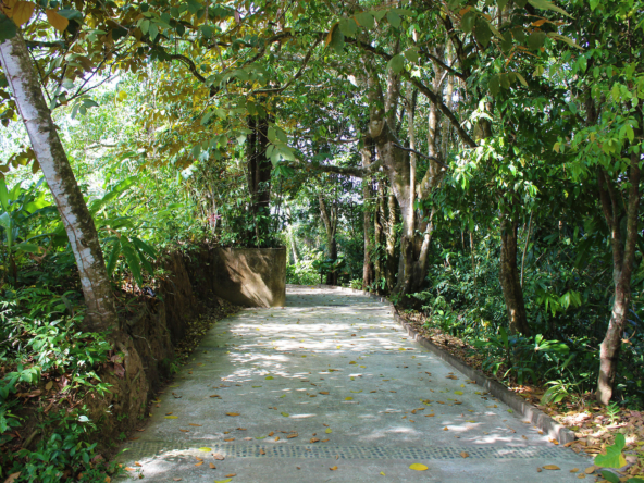 pavones-yoga-center-for-sale