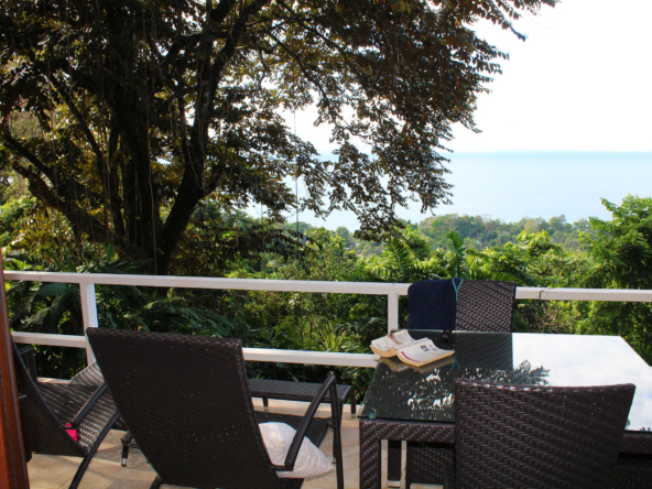 pavones-yoga-center-for-sale