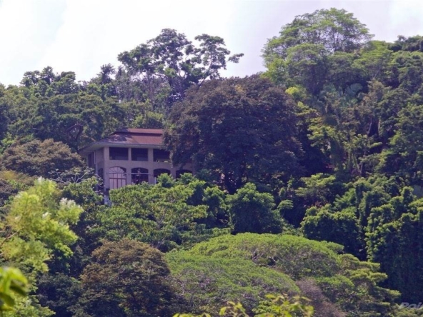 pavones-yoga-center-costa-rica