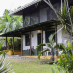 sonido-del-mar-pavones