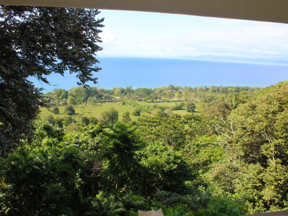 pavones-yoga-center-main-view