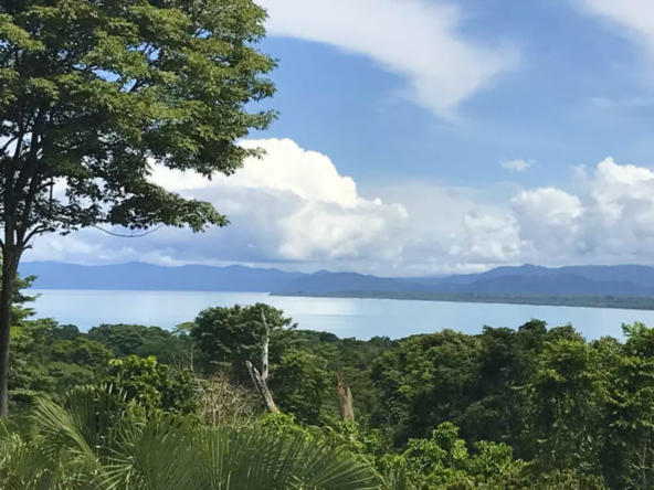 casa-belle-vista-pilon-pavones