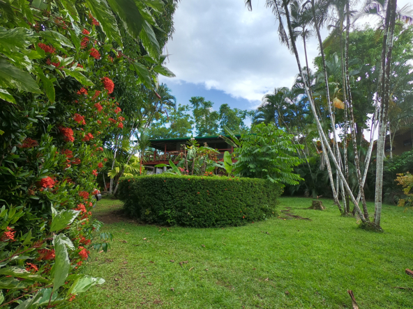 pilon-jungle-house-costa-rica