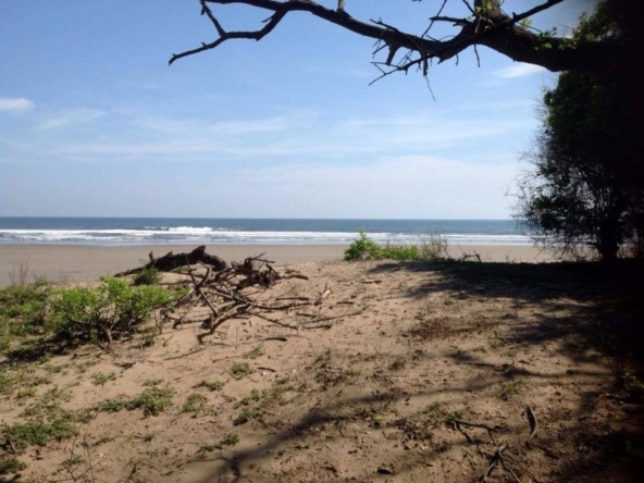 punta-mango-land-for-sale