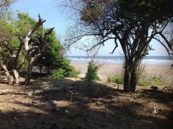 punta-mango-land-for-sale