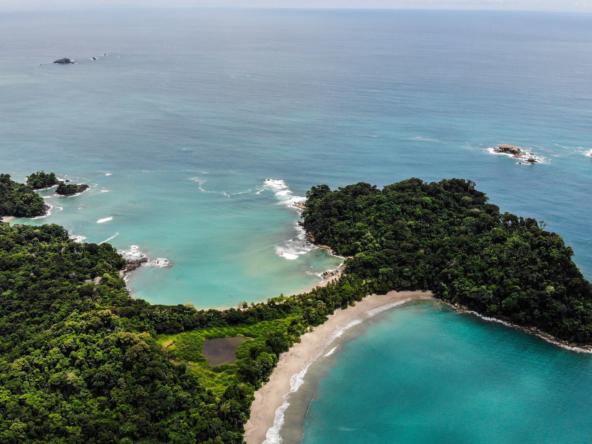 ballena-farm-uvita-costa-rica