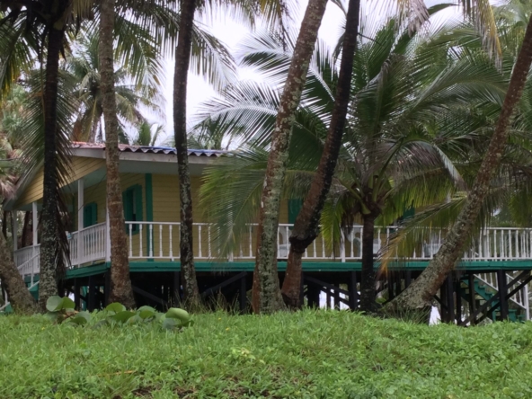 Iguana-Island-Nicaragua