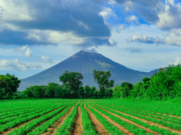 la-jolla-de-guasacate-nicaragua