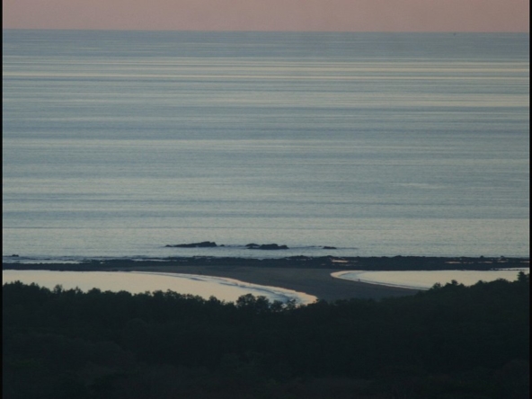 ballena-farm-uvita-costa-rica