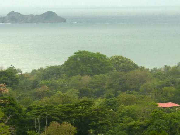 ballena-farm-uvita-costa-rica