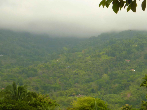 ballena-farm-uvita-costa-rica
