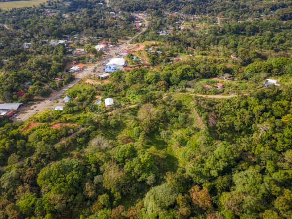 ballena-farm-uvita