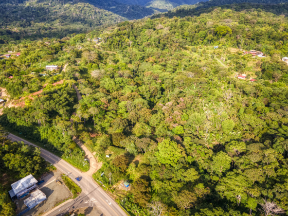 ballena-farm-uvita