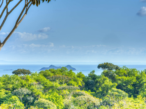 ballena-farm-uvita