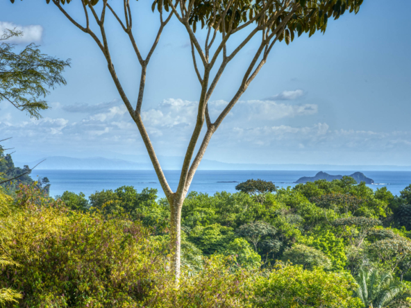 ballena-farm-uvita