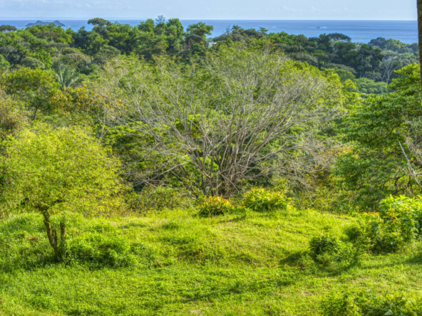ballena-farm-uvita