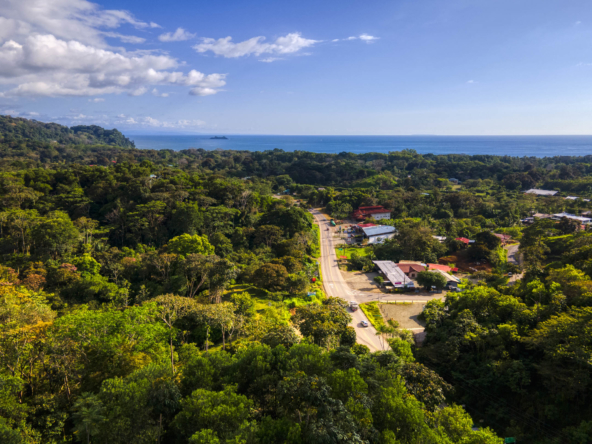 ballena-farm-uvita