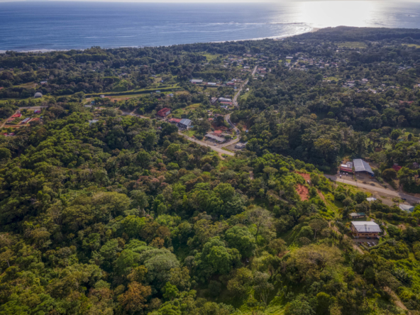 ballena-farm-uvita