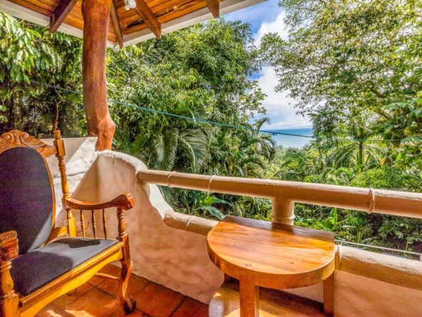 casa-mono-titi-manuel-antonio