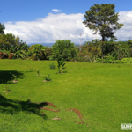 lot-3-belle-vista-pilon-pavones