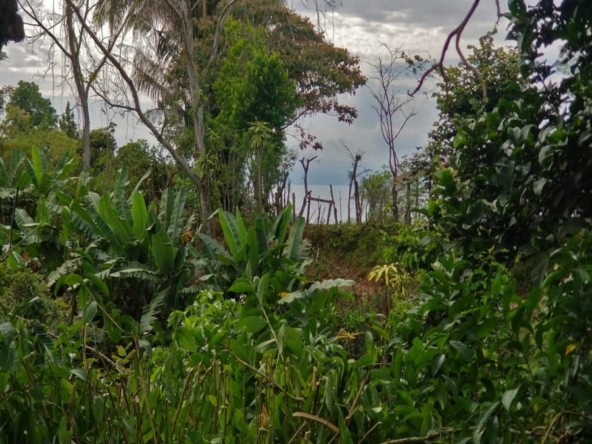 casa-de-los-cielos-cuervito-pavones