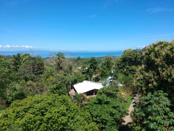 casa-de-los-cielos-cuervito-pavones