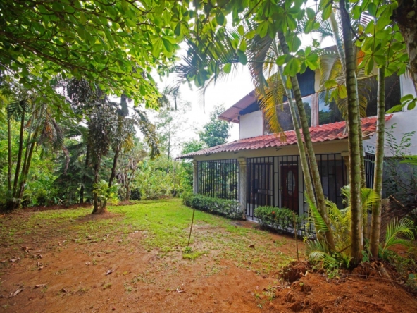 casa-de-los-cielos-cuervito-pavones