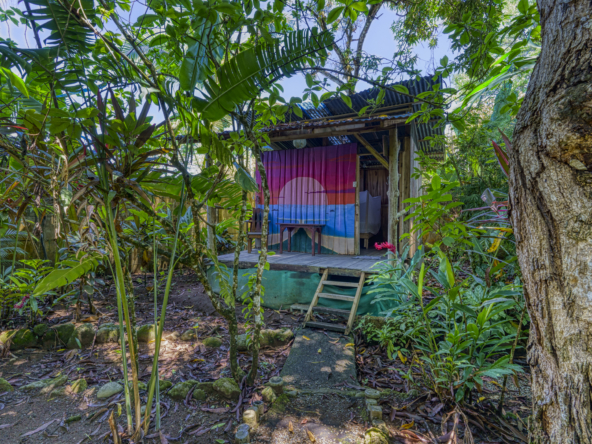Flutterby House Turn Key Business walking distance to the Beach