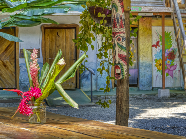 Flutterby House Turn Key Business walking distance to the Beach