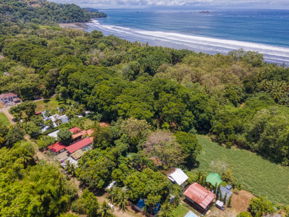 Flutterby House Turn Key Business walking distance to the Beach