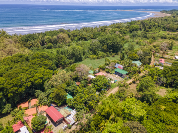 Flutterby House Turn Key Business walking distance to the Beach