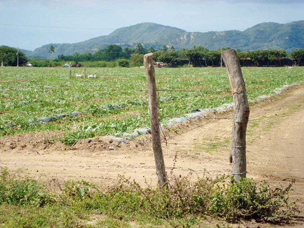 rancho-barra-de-navidad