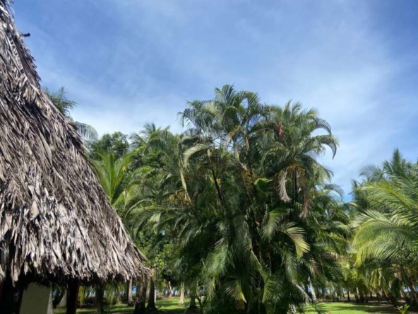 cozy-cottage-playa-zancudo