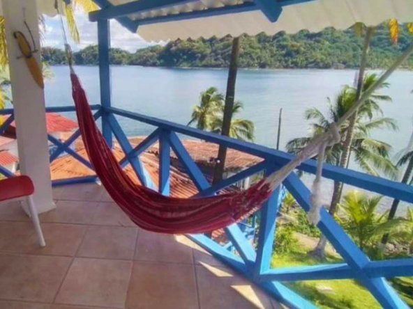 surf-dive-fish-caribbean-island-resort