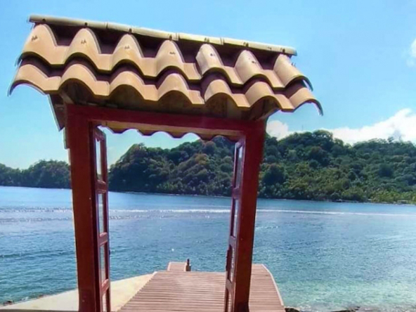 surf-dive-fish-caribbean-island-resort