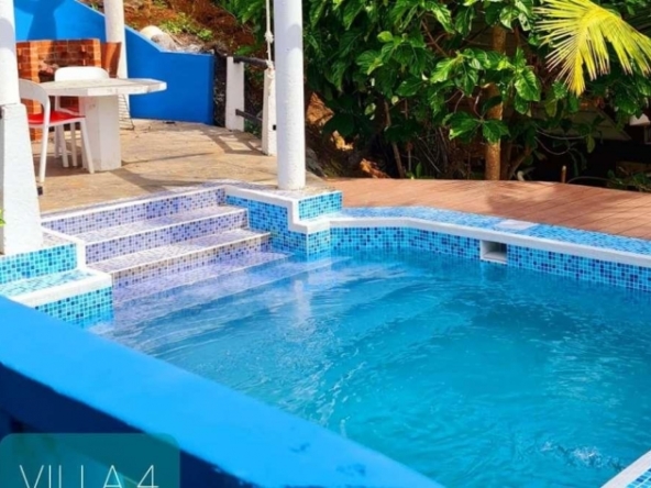 surf-dive-fish-caribbean-island-resort