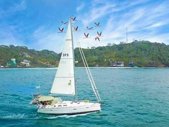 surf-dive-fish-caribbean-island-resort