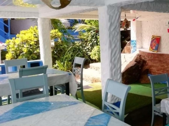 surf-dive-fish-caribbean-island-resort