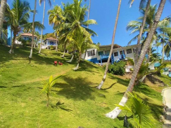 surf-dive-fish-caribbean-island-resort