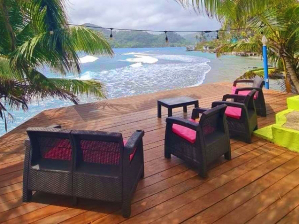 surf-dive-fish-caribbean-island-resort