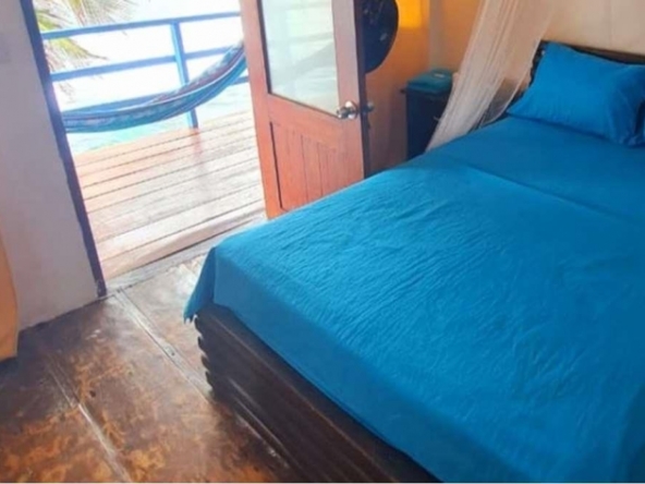 surf-dive-fish-caribbean-island-resort