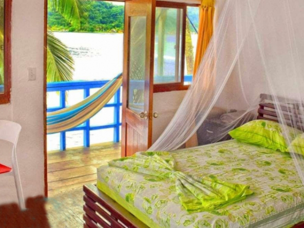 surf-dive-fish-caribbean-island-resort