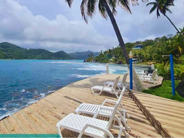 surf-dive-fish-caribbean-island-resort