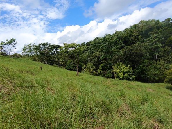 vista-dulce-finca-norte-pavones