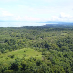 vista-dulce-finca-norte-20-acres-pavones-cuervito