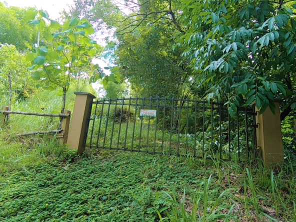 vista-dulce-cuervito-pavones-20-acre-finca