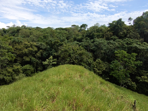 vista-dulce-cuervito-pavones-20-acre-finca